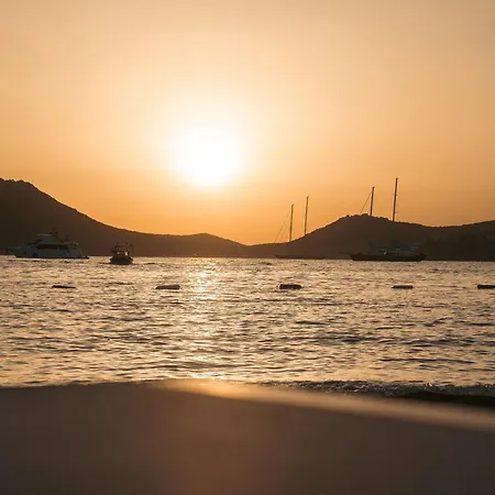 Casa Colore Boutique House ホテル *